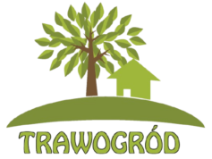 cropped logogogo removebg preview.png